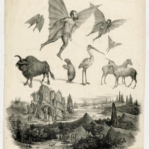 Веспертилио-гомо, или лунные люди-летучие мыши, Vespertilio-homo, or the lunar bat people - Американская мифология