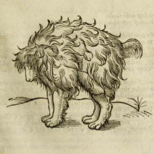 Гетульский пёс, Getulian Dog — мифическое существо из европейской мифологии - Европейская мифология
