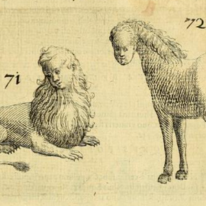 Чудовищный конь с человеческой головой, Equus monstrosis capite humano - Европейская мифология
