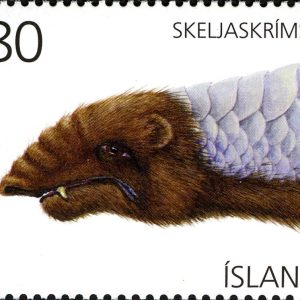 Скельяскримсли, Skeljaskrímsli — чудовище из исландской мифологии - Исландская мифология