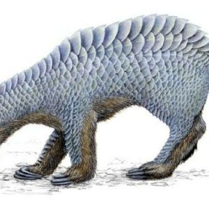 Скельяскримсли, Skeljaskrímsli — чудовище из исландской мифологии - Исландская мифология