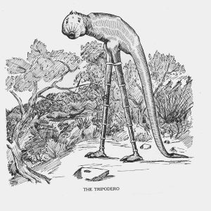 Триподеро, Tripodero — криптид из американской мифологии - Американская мифология