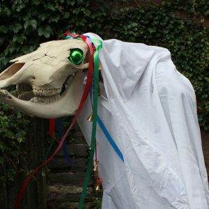 Мари Лвид, Y Mari Lwyd — мифическое существо из валлийской мифологии - Валлийская мифология