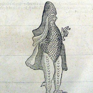 Рыба-епископ, bishop-fish — мифическое морское существо из средневековой мифологии и бестиариев - Средневековье  (бестиарий, геральдика, мифология)