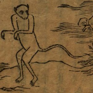 Синсин, Xingxing — обезьяноподобное мифическое существо из китайской мифологии - Китайская мифология