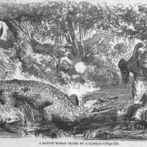 Дух-крокодил из Мимаропы, Crocodile Spirit of Mimaropa — дух из филиппинского фольклора и мифологии - Филиппинский фольклор и мифология