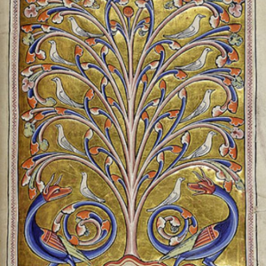 Дерево Перидиксион и драконы, Peridixion tree and the dragons — мифическое дерево из средневекового бестиария - Средневековье  (бестиарий, геральдика, мифология)