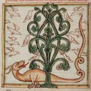 Дерево Перидиксион и драконы, Peridixion tree and the dragons — мифическое дерево из средневекового бестиария - Средневековье  (бестиарий, геральдика, мифология)