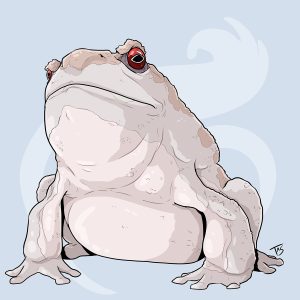 Ухнаньские жабы, Wuhnan Toads — гигантское чудовище из криптид - Криптиды