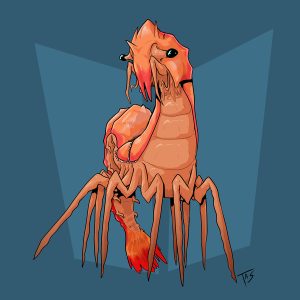Гигантская креветка в прачечной, The Giant Shrimp In The Laundry Room — криптид из мифологии криптидов - Криптиды