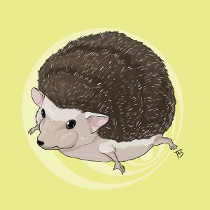 Замба Зараа, Zamba Zaraa — мифическое существо из категории Криптиды - Криптиды