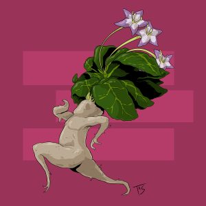 Корень мандрагоры, Mandrake Root — мифическое растение-существо из европейской мифологии - Европейская мифология