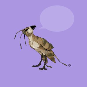 Бьянгома, Byangoma — вещая птица из мировой мифологии - Мировая мифология (Мифология и фольклор разных стран мира)