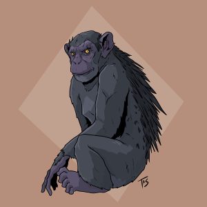 Шимпанзе с колючей спиной, Spiny-backed Chimpanzee — криптид из криптозоологии (криптиды) - Криптиды