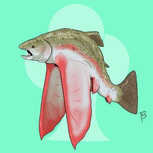 Горная форель, Upland Trout — мифическое существо из американской мифологии - Американская мифология