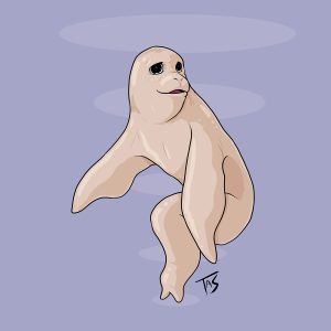 Опухолевый тюлень из другой дыры Мэла, The Tumor Seal of Mel’s Other Hole — криптид из городских легенд - Городские легенды