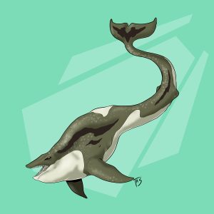 Пукехинский хищник, Pukehina Predator — морской криптид из криптид - Криптиды