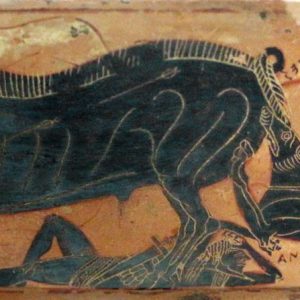 Анкей, сын Ликурга, Ancaeus (son of Lycurgus) - Греческая/Древнегреческая мифология