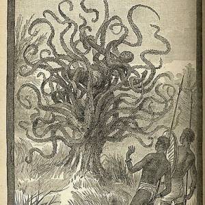 Растение-людоед, Man-eating tree