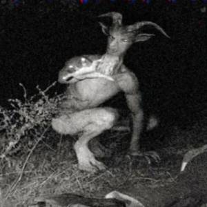 Гоутмен, Goatman