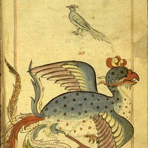 Симург, Simurgh