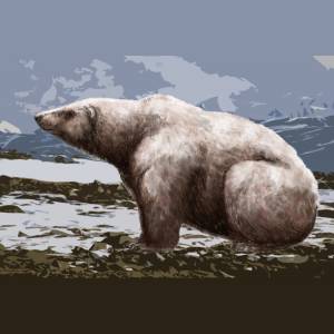 Гигантский белый медведь, Ursus maritimus tyrannus