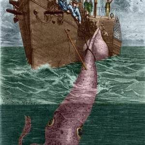 Кракен, The Kraken