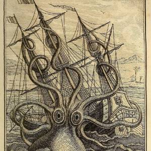 Кракен, The Kraken