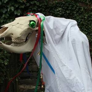 Мари луид, Mari Lwyd