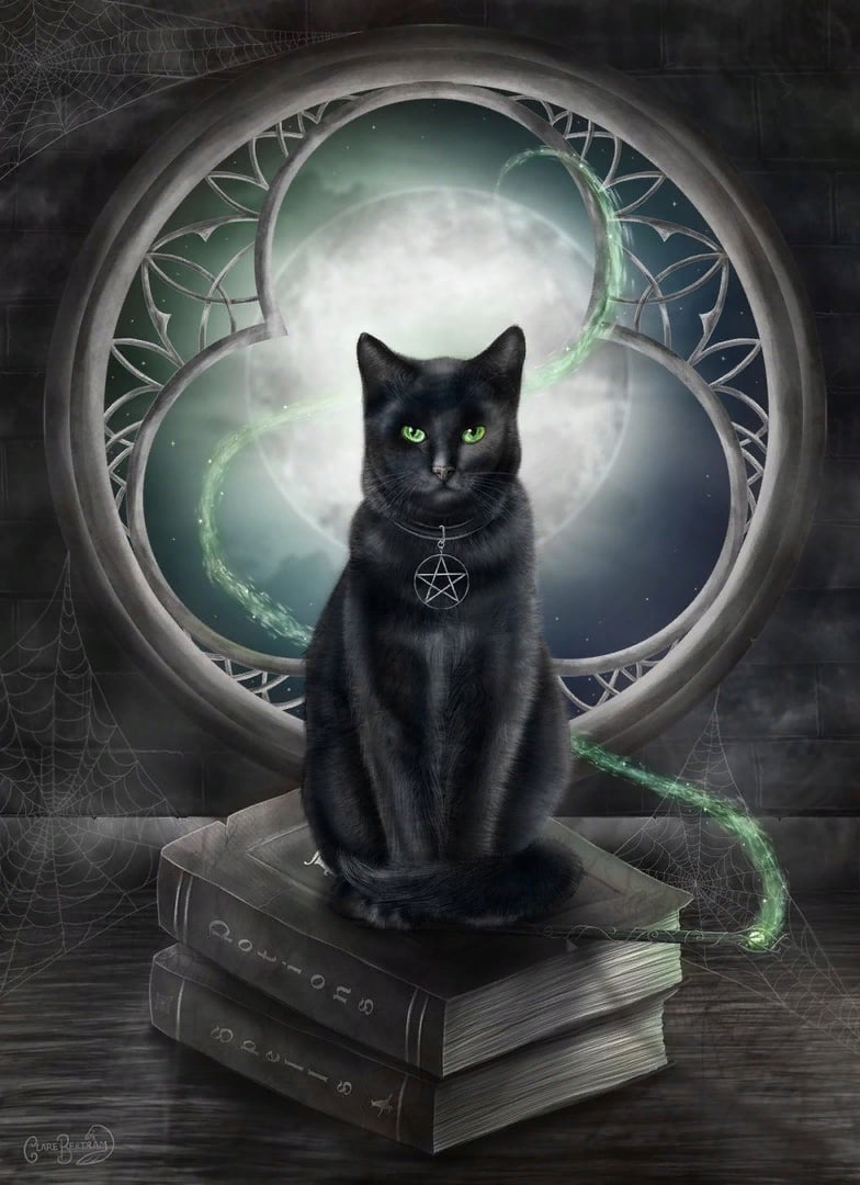 Фамильяр ведьмы черный кот
