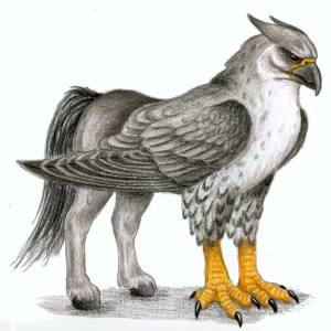 Гиппогриф, Hippogriff