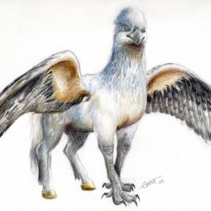 Гиппогриф, Hippogriff