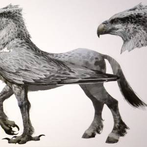 Гиппогриф, Hippogriff