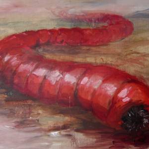 Олгой-хорхой, Mongolian death worm