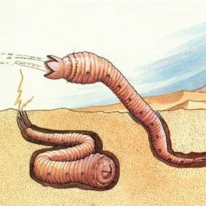 Олгой-хорхой, Mongolian death worm